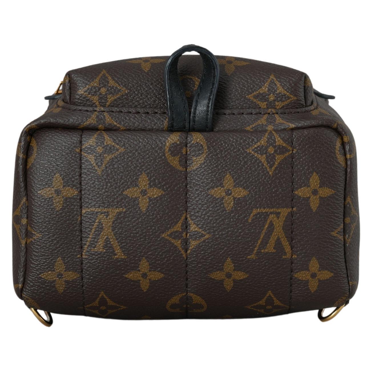 LOUIS VUITTON(USED)루이비통 모노그램 팜스프링스 백팩